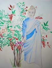 DSCN5940.JPG