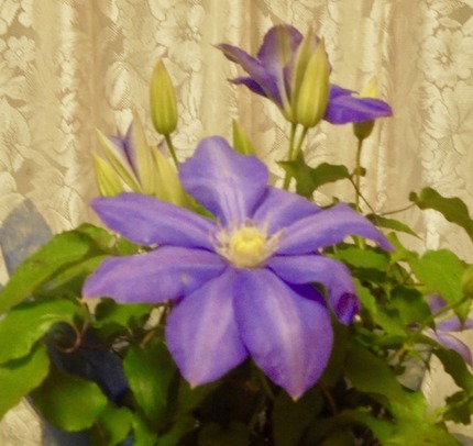 DSC00143.jpg