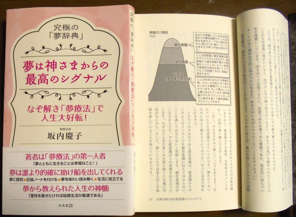 DSC00509.JPG