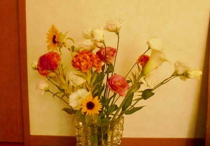 DSC00533.jpg