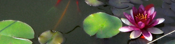 DSC00639.JPG