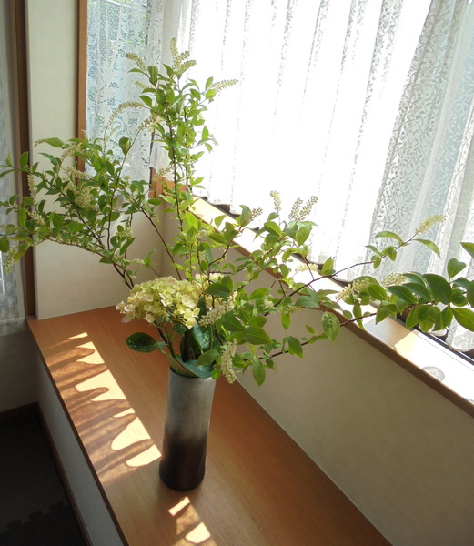 DSC00649.JPG