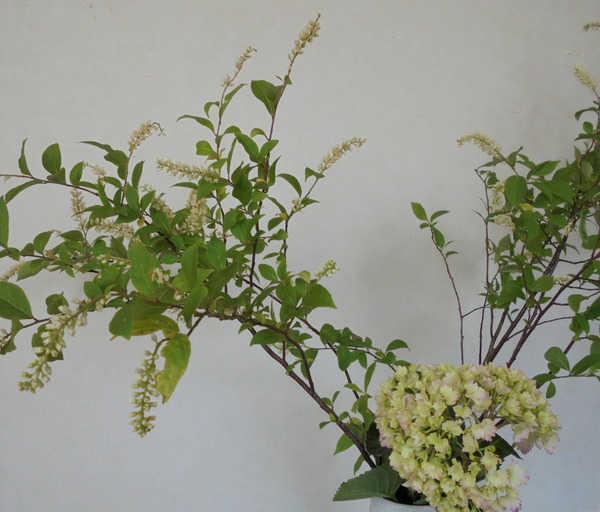 DSC00660.JPG