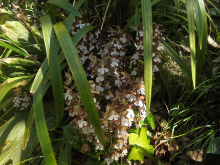 DSC00895.jpg