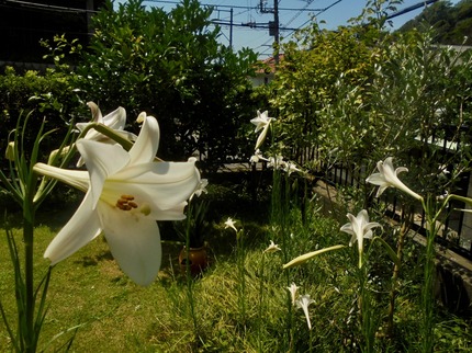 DSC01064.jpeg