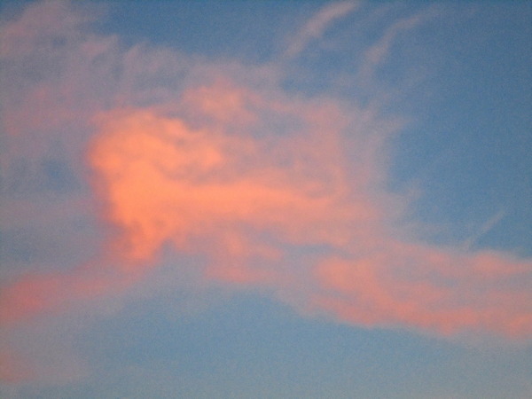 DSC01135.JPG
