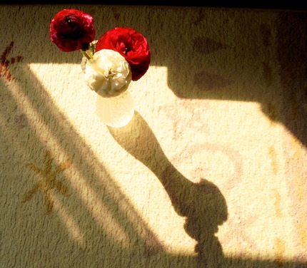 DSC07516.JPG