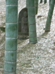 DSCN0380.JPG