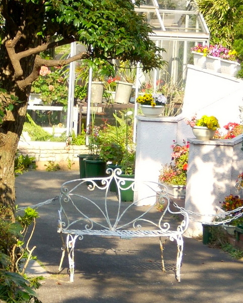 DSCN1546.JPG
